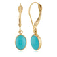 14K Turquoise Drop Earrings