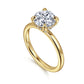 14K Yellow Gold Round Diamond Engagement Ring (Does Not Include Center Stone)